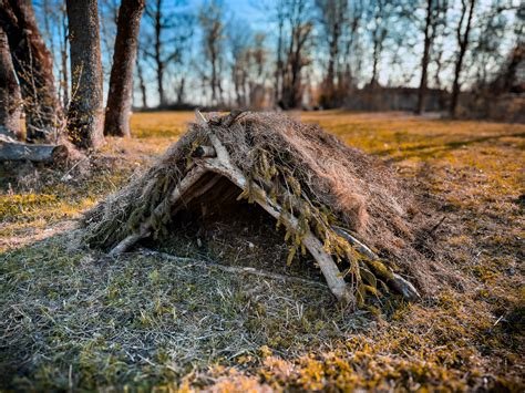 Natural shelter, primitive construction, forest outdoor survival courses brittany